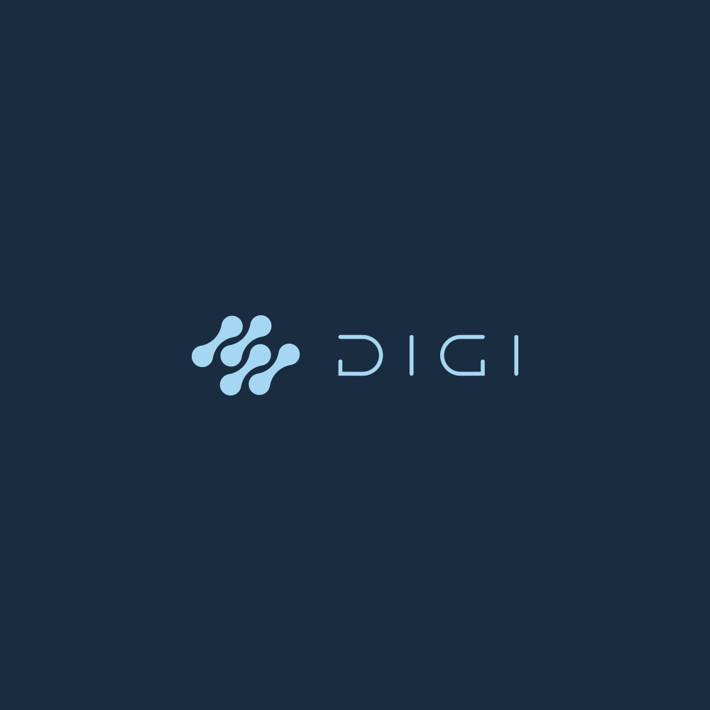 Digi Security Systems Logo